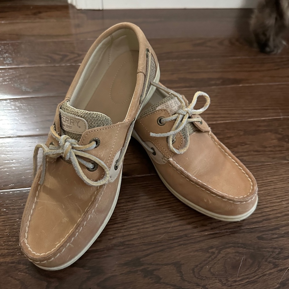 Sperry Koifish
